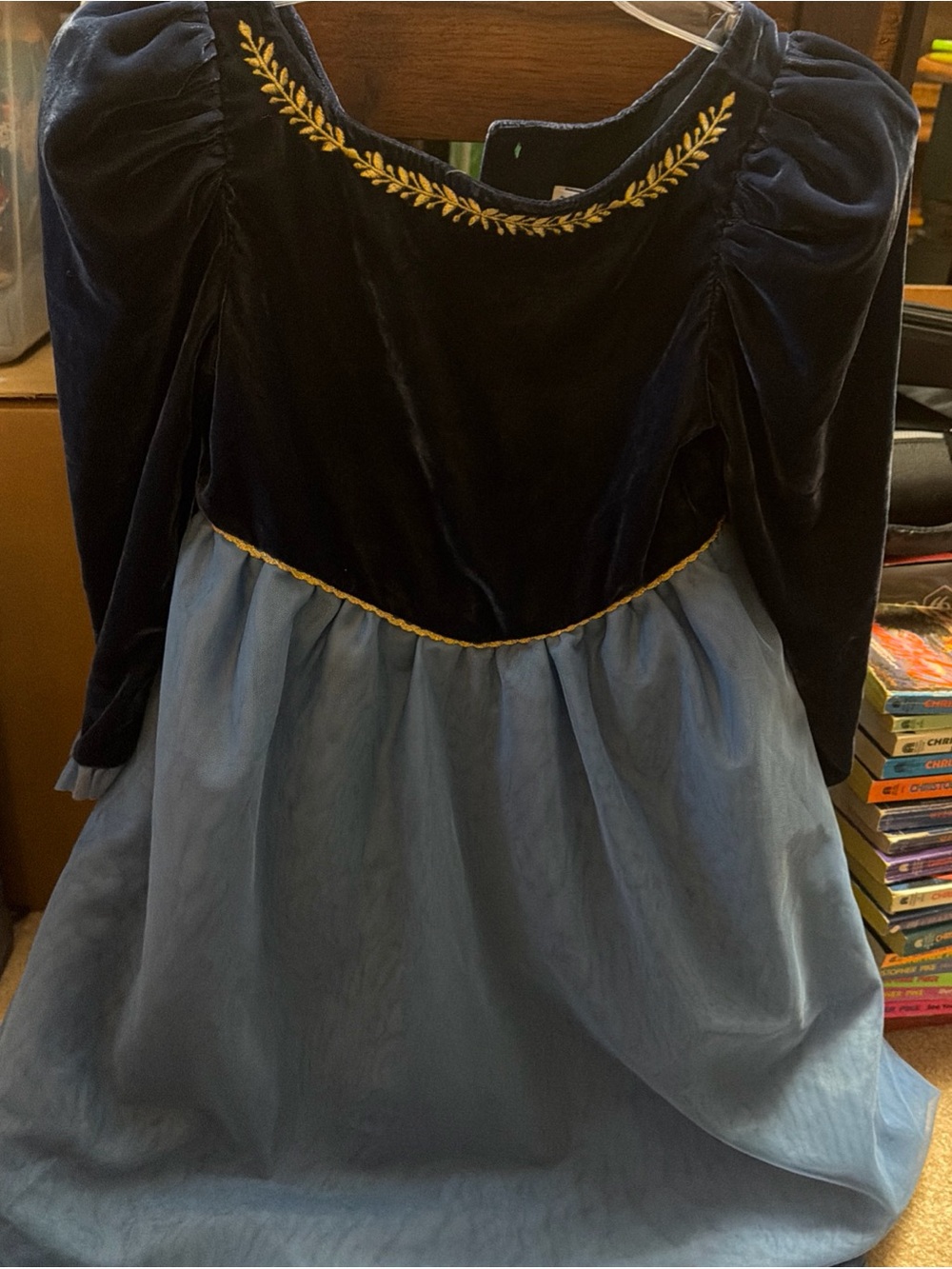 Janie and Jack Frozen Velvet Dress features intricate gold embroidery size 7